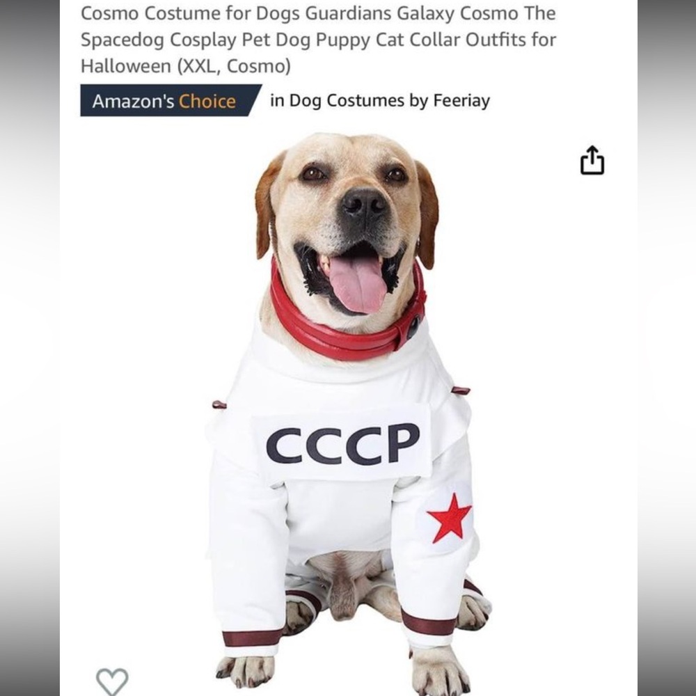 Dog costume - astronaut size XXL - worn for 10 mins for photo only